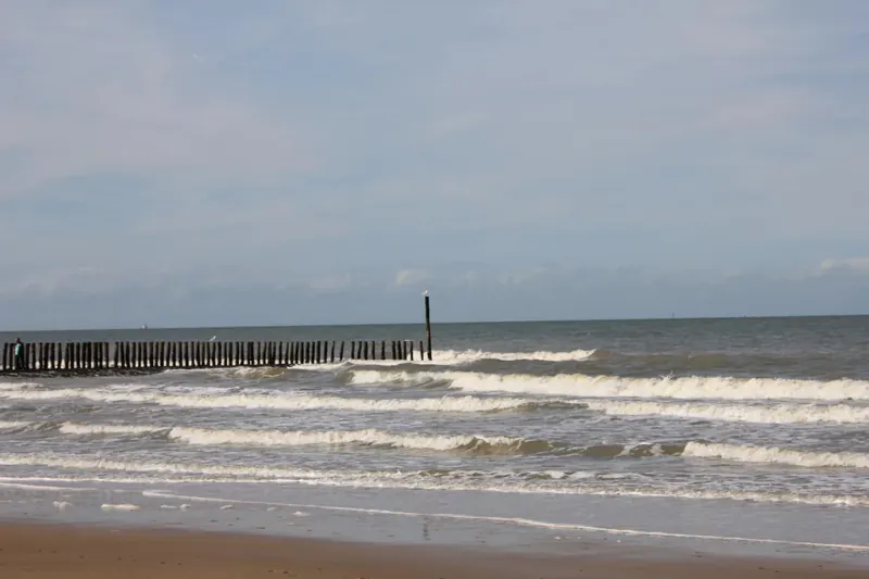 Nordsee mit Buhnen